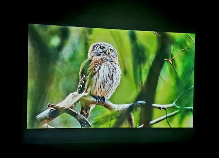 Bojevita kraljica noci 6